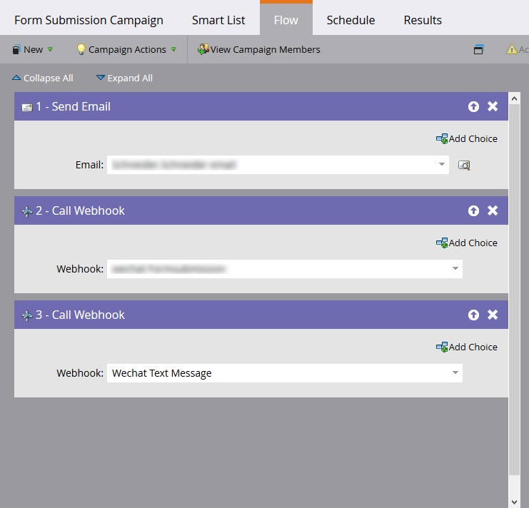 Marketo Campaign Flow